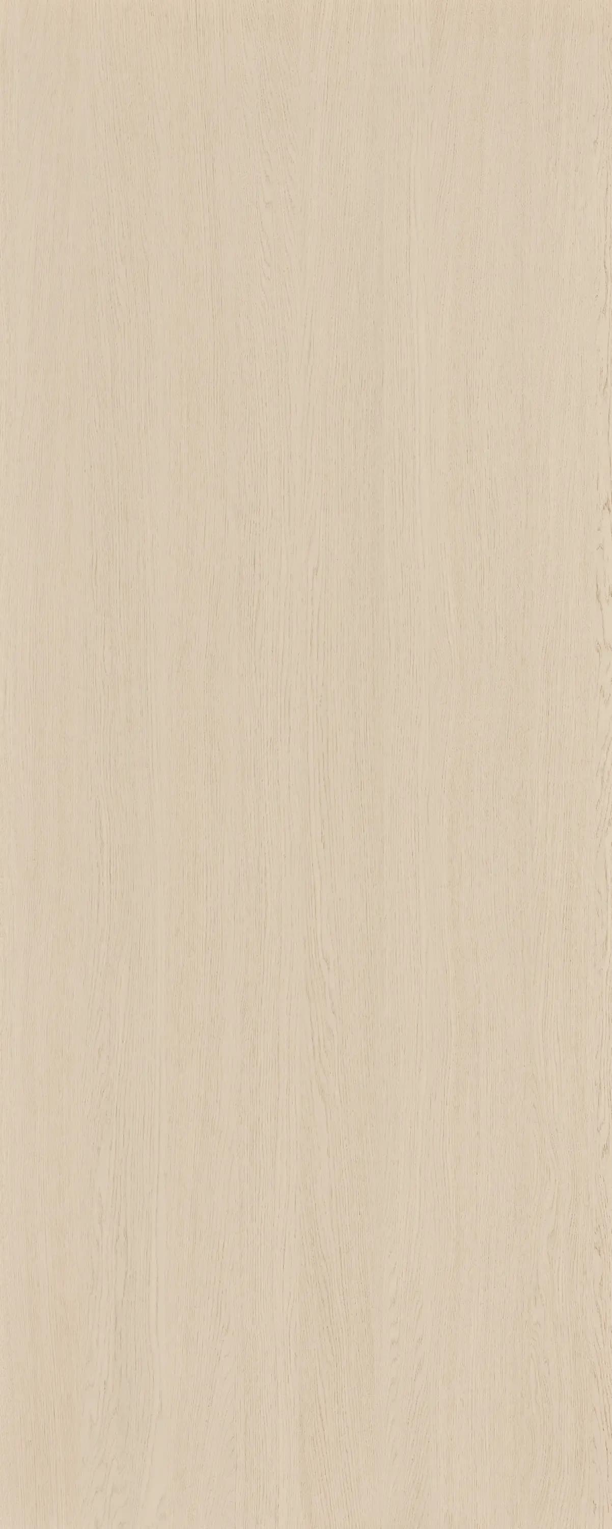 Bondi Oak