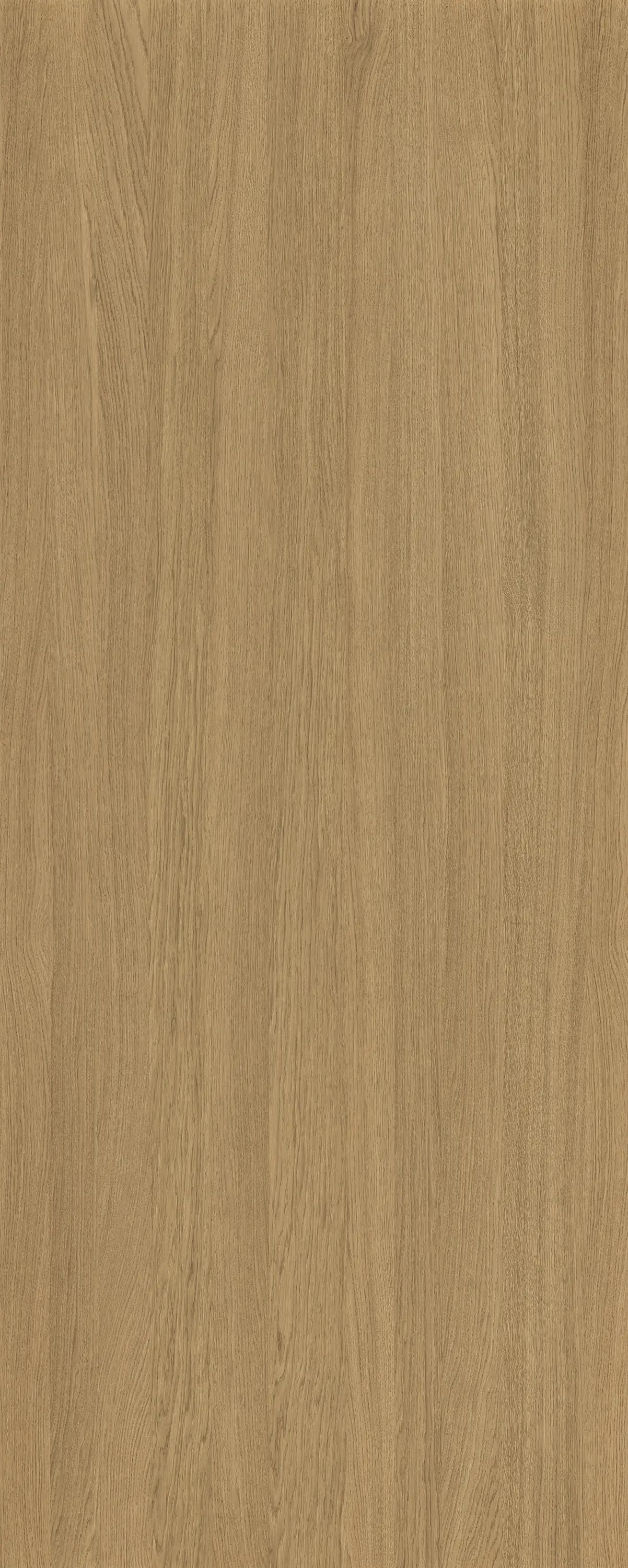 Sahara Oak