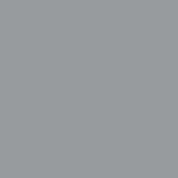 Mouse Grey