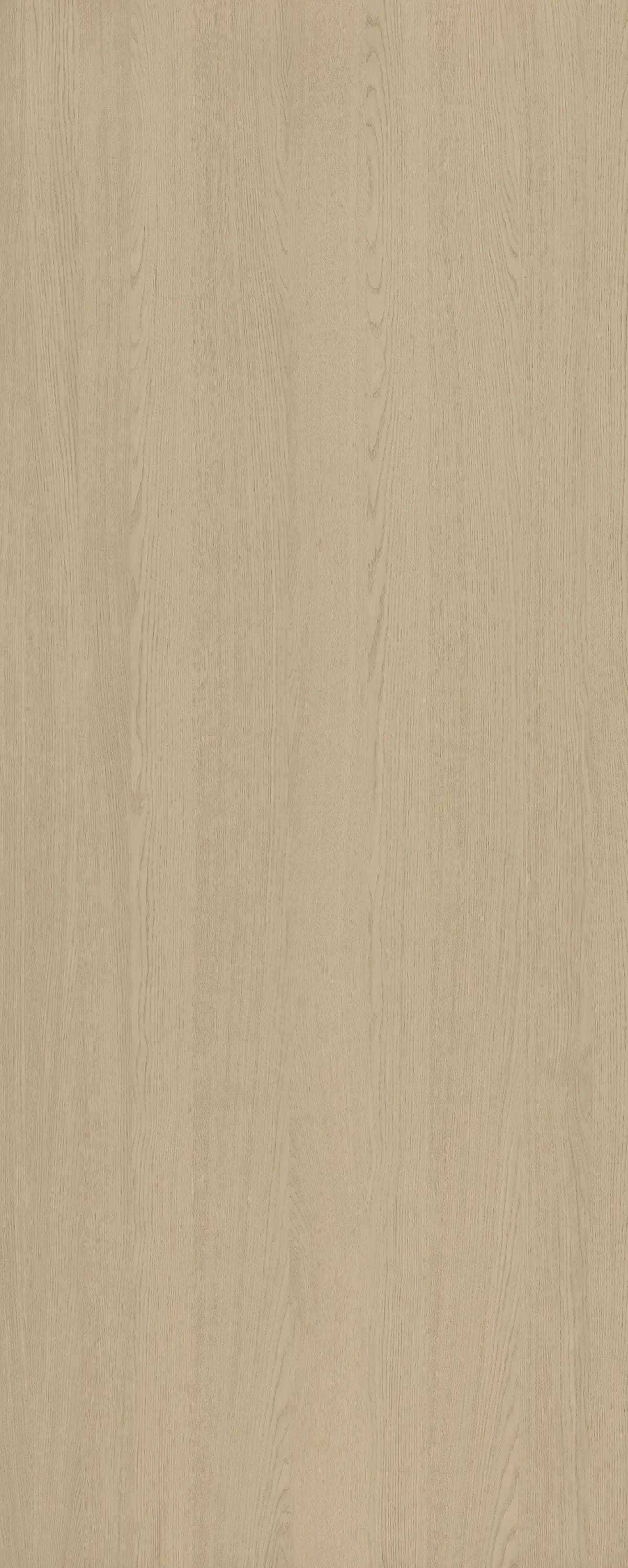 Desert Oak